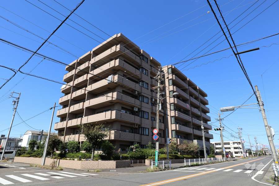 ロイヤルシャトー勝川の外観(南東側から）