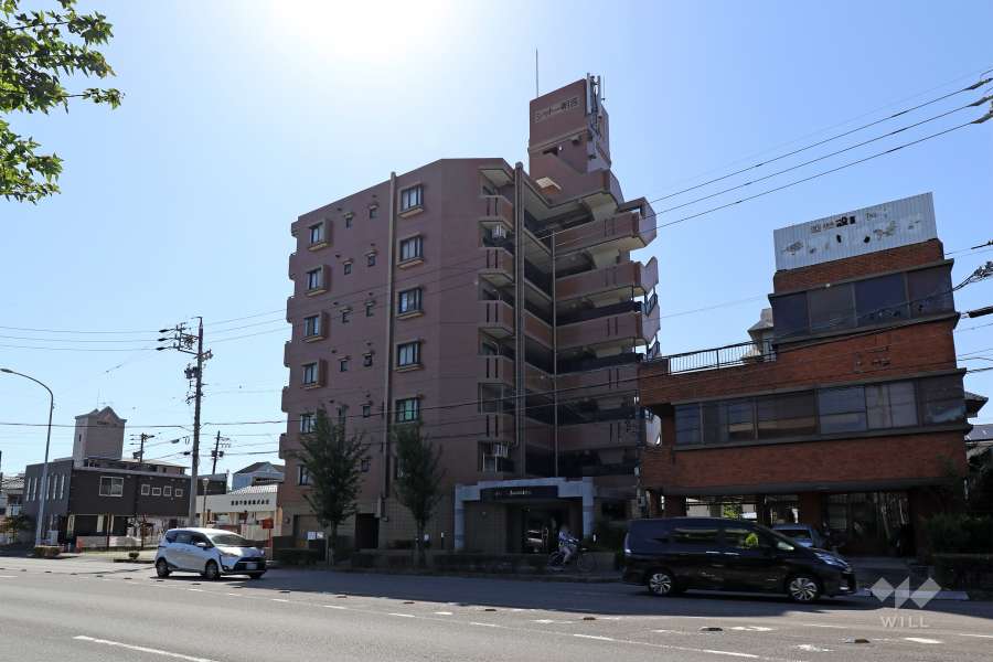 シャトー朝宮の外観(北東側から）