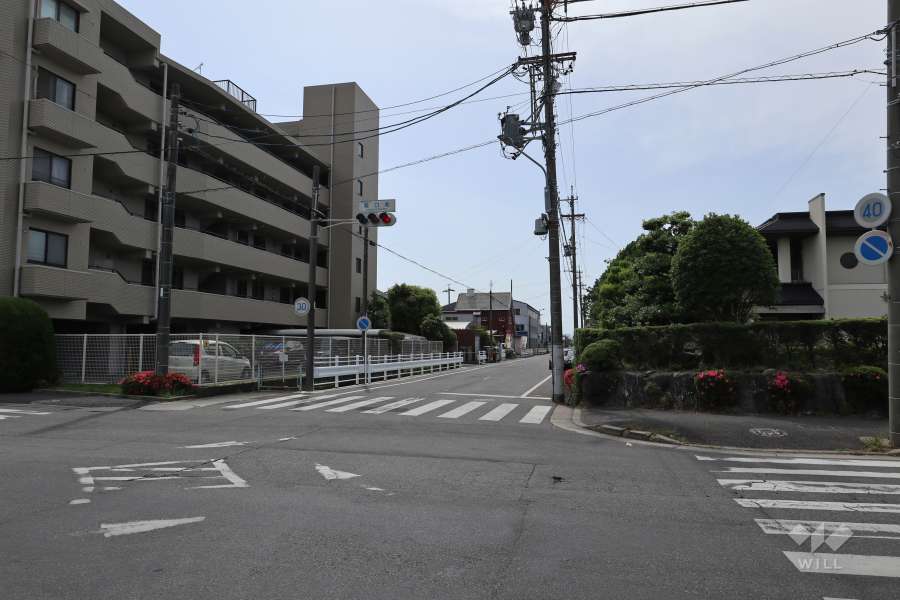 敷地北側の前面道路（東側から）