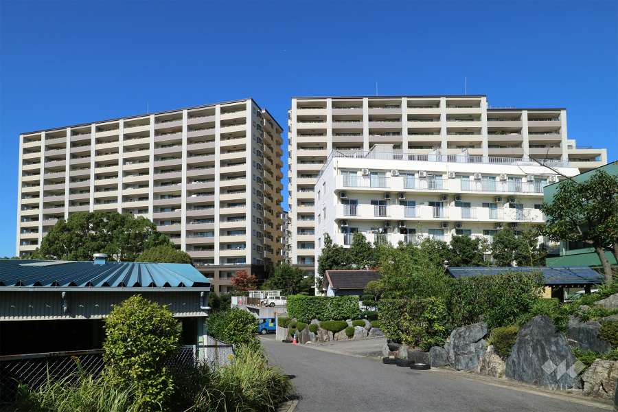 Ｃ棟とＤ棟の遠景