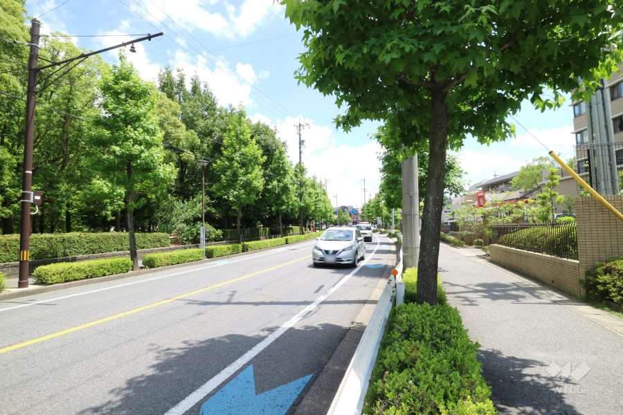 敷地東側の前面道路。2車線のバス通りです。（北側から）