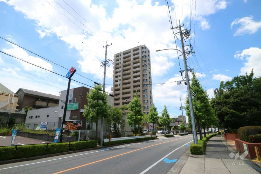 モアグレース杁ヶ池公園の遠景。周囲は住宅の他に、店舗などが混在する町です。通りを挟んで、杁ヶ池