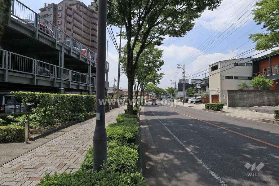 敷地北側の前面道路（東側から）