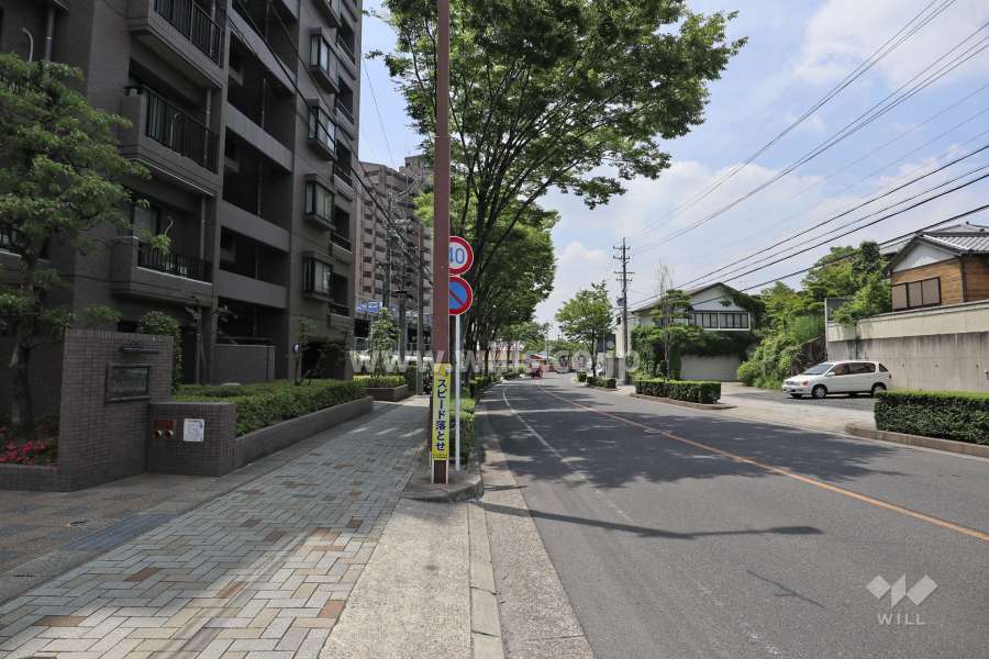 敷地北側の前面道路（東側から）