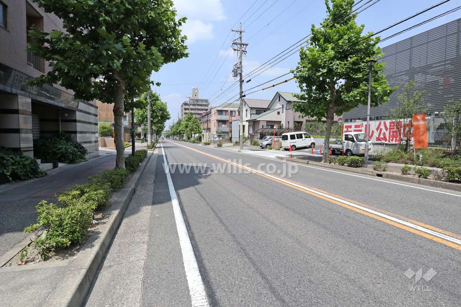 敷地東側の前面道路（南側から）