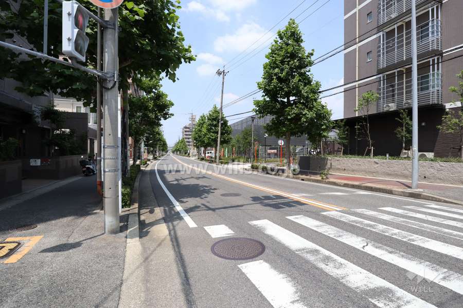 敷地東側の前面道路（南側から）