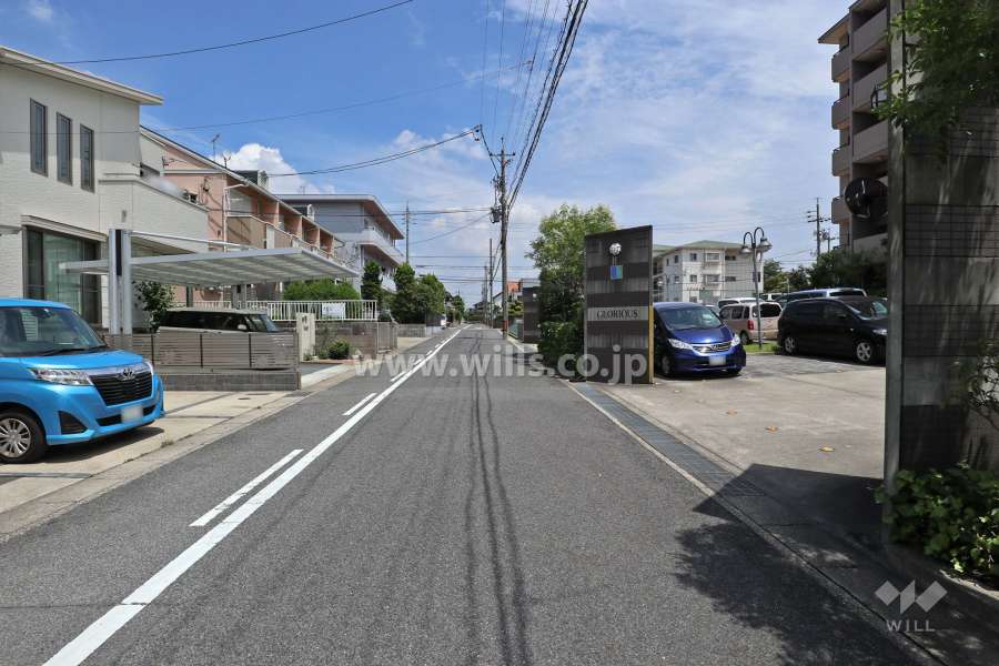 敷地北側の前面道路（西側から）