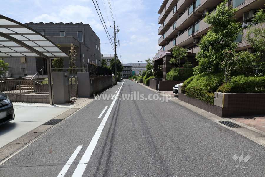 敷地南側の前面道路（東側から）