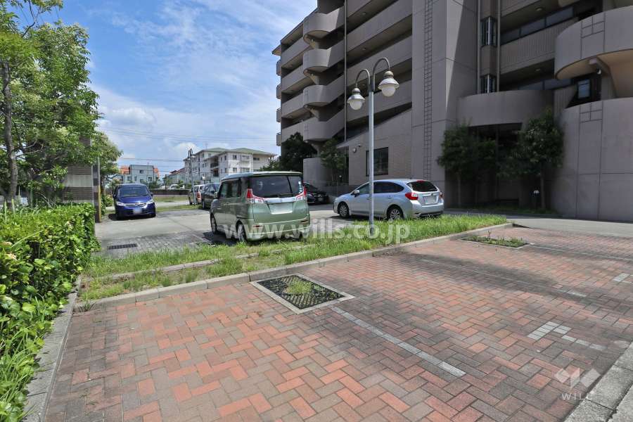 敷地内駐車場（屋外平面式）