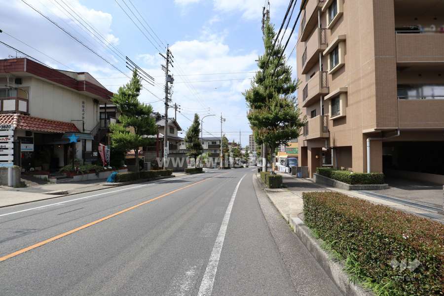敷地西側の前面道路（南側から）