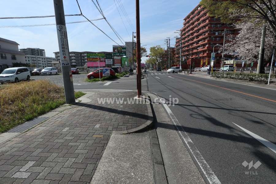 敷地南側の前面道路