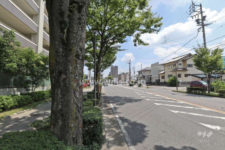 敷地南側の前面道路（西側から）