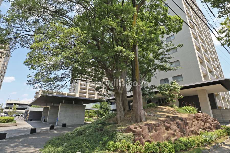 エントランス前の植栽スペース