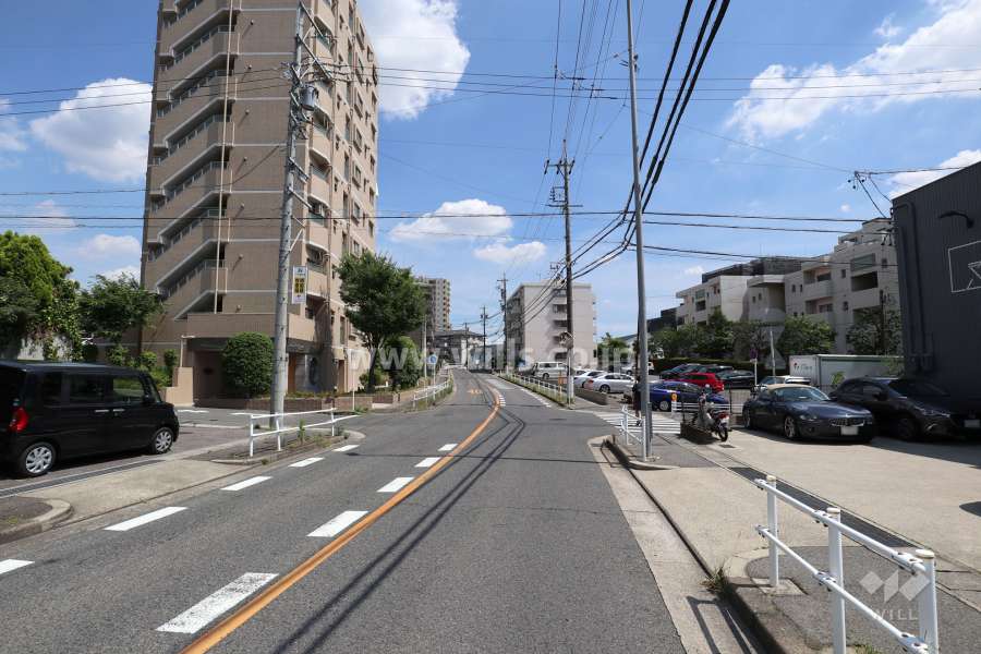 敷地西側の前面道路（北側から）