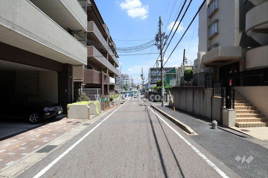 敷地南側の前面道路（西側から）