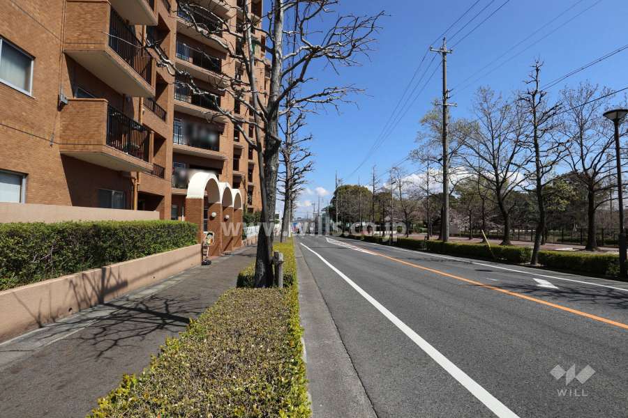 敷地の東側前面道路（南側から）