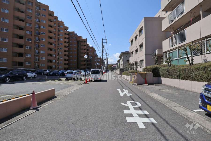 敷地の西側前面道路（北側から）