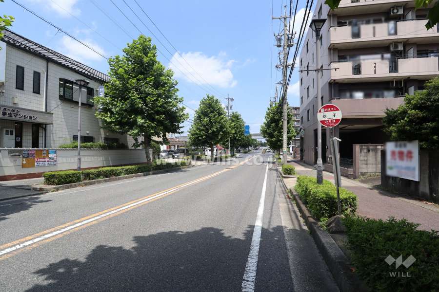 敷地西側の前面道路（南側から）