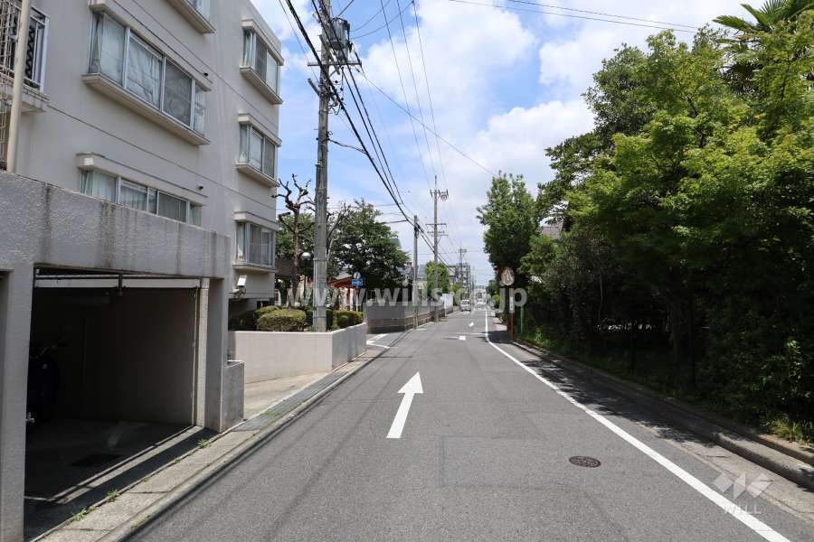 敷地東側の前面道路（南側から）
