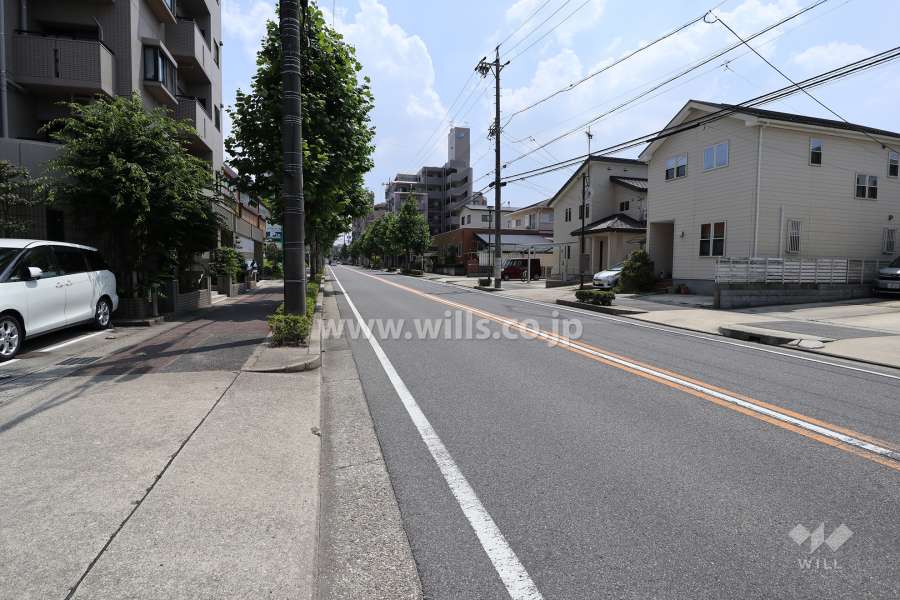 敷地西側の前面道路（北側から）
