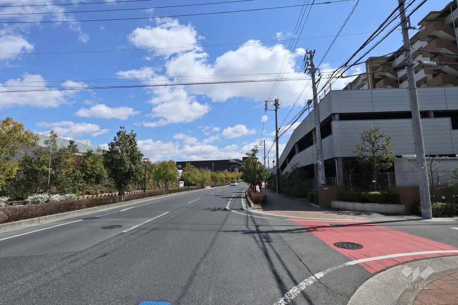 敷地北側の前面道路（西側から）