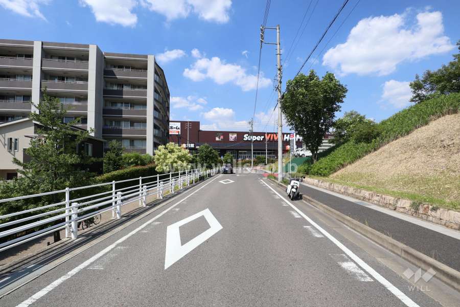 敷地東側の前面道路（南側から）