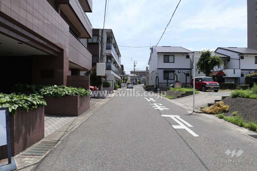 敷地西側の前面道路（北側から）
