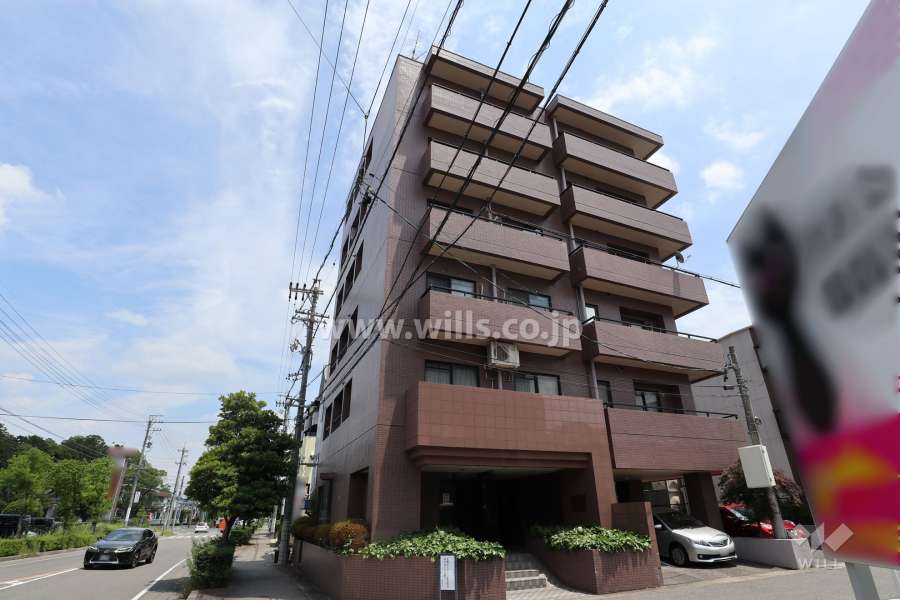 アクトピア藤が丘東の外観（西側から）