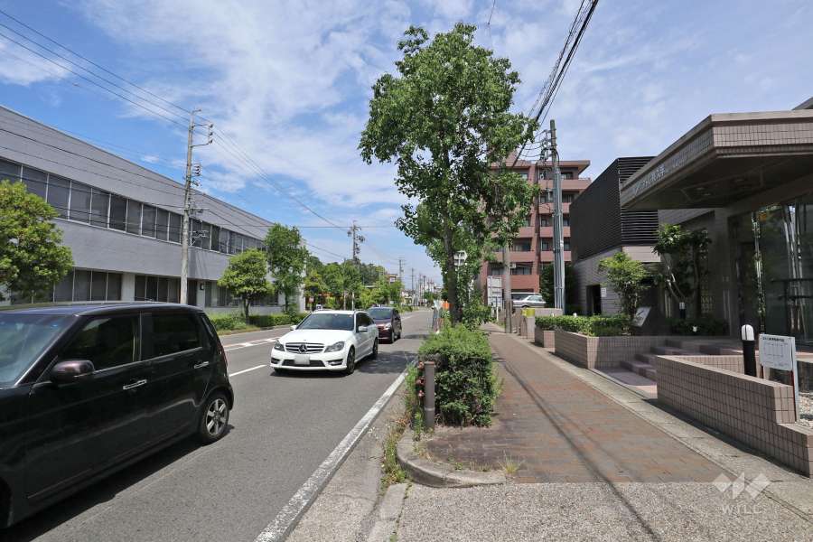 敷地北側の前面道路（西側から）