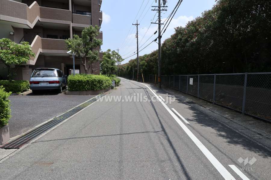 敷地南側の前面道路（西側から）