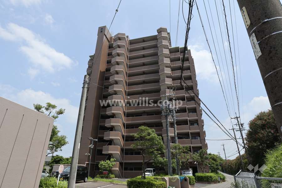 アクシーズ菖蒲池一番館の外観（南西側から）