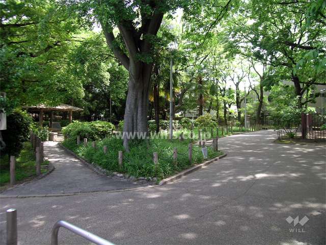 大石塚古墳、小石塚古墳は緑豊かで、一部公園として整備されています。