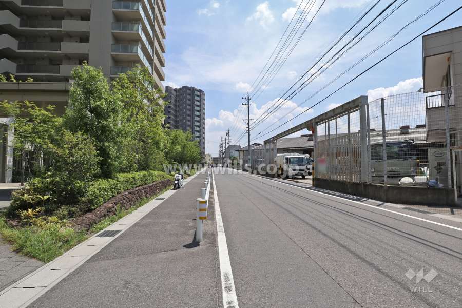 敷地西側の前面道路（北側から）