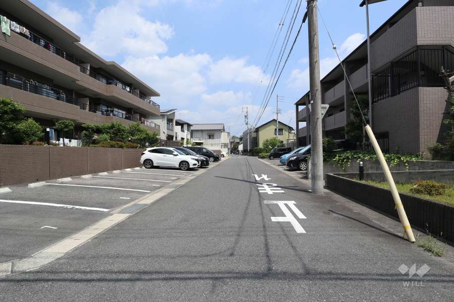 敷地南側の前面道路（西側から）