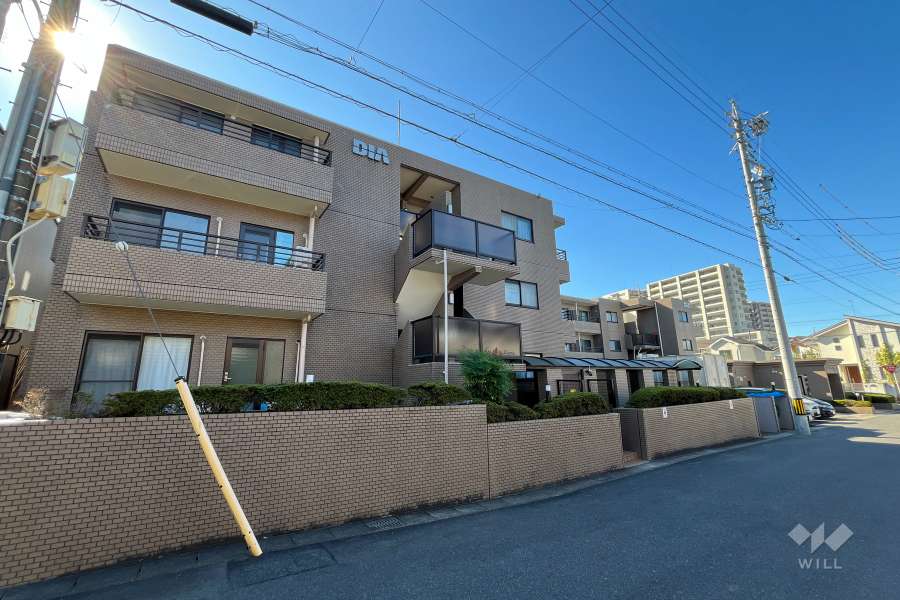 ダイアパレス藤ヶ丘の外観(北東側から)
