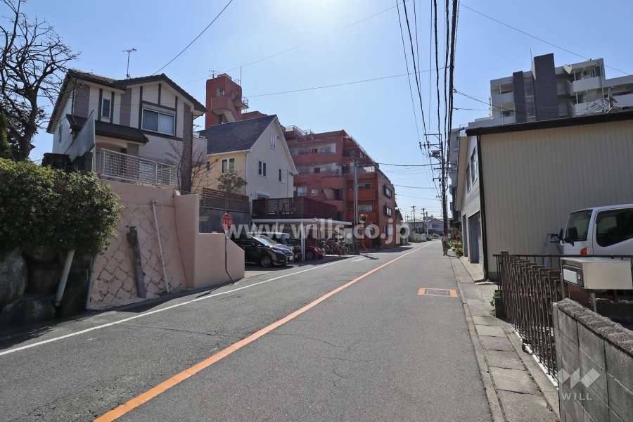 敷地の西側前面道路（南側から）