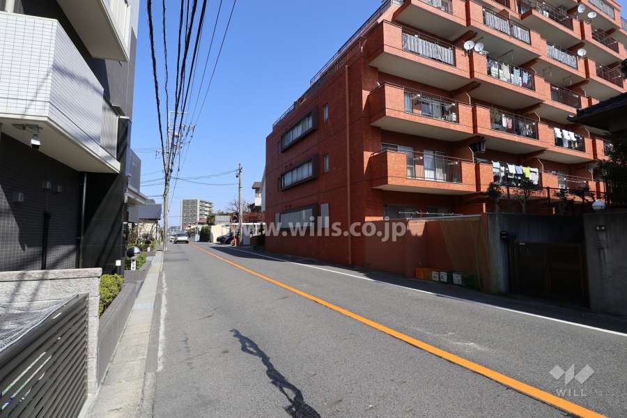 敷地の西側前面道路（北側から）