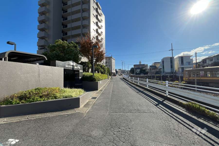 敷地西側の前面道路(北側から)