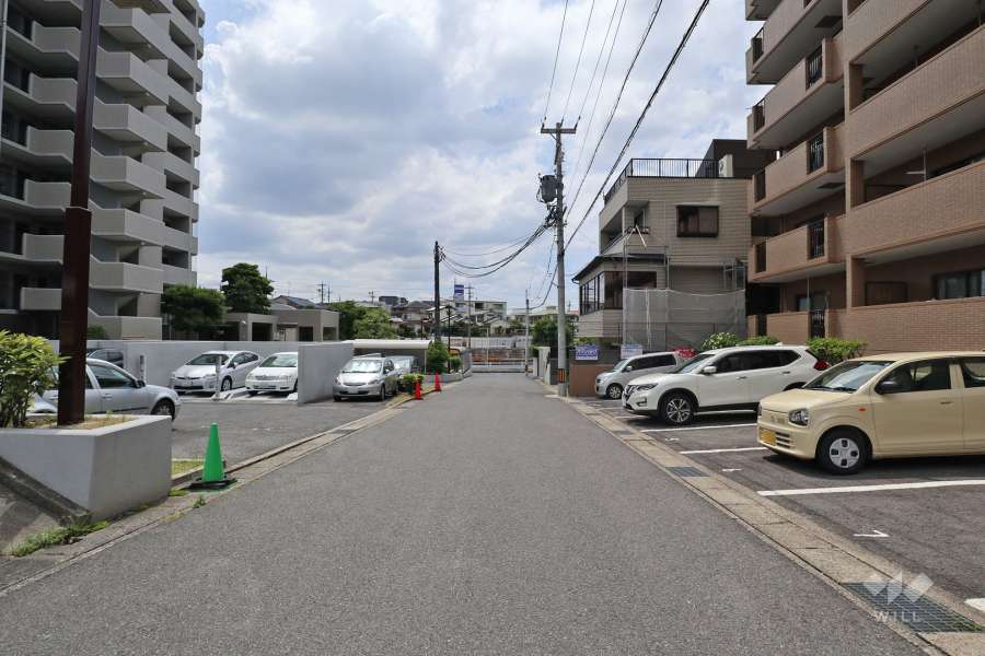 敷地北側の前面道路（東側から）