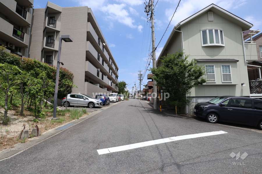 敷地南側の前面道路（西側から）