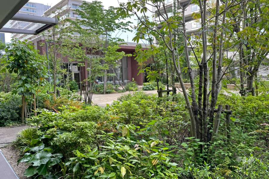 植栽の緑が豊かな敷地内