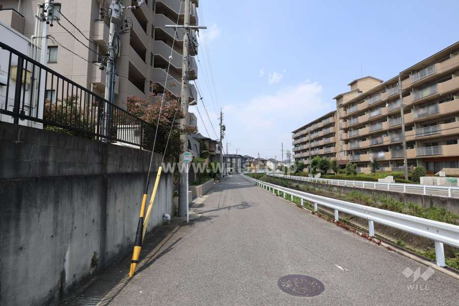 敷地北側の前面道路（東側から）