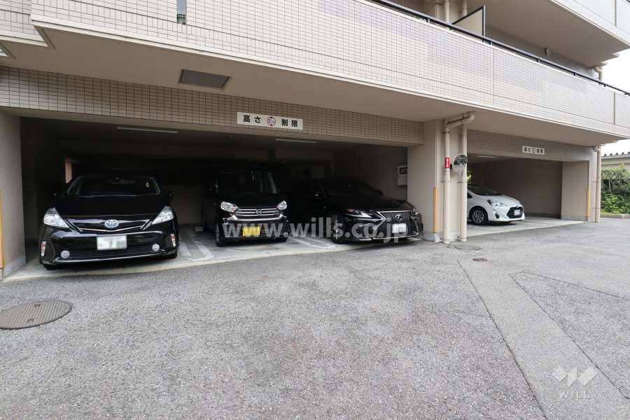 敷地内駐車場（屋内平面式）