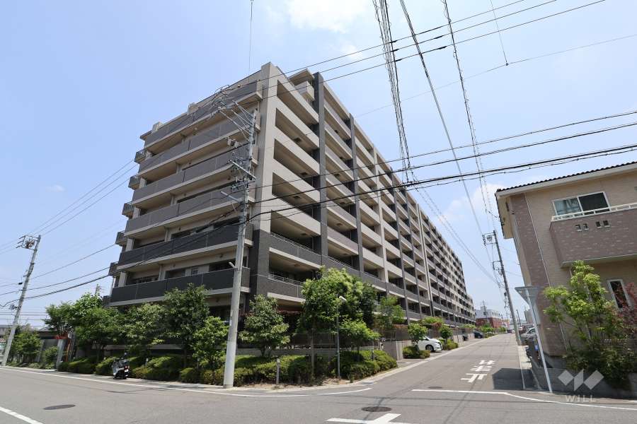 エントランスの水盤