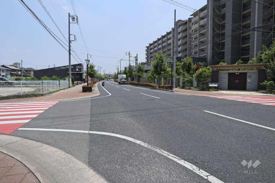 敷地北側の前面道路（西側から）