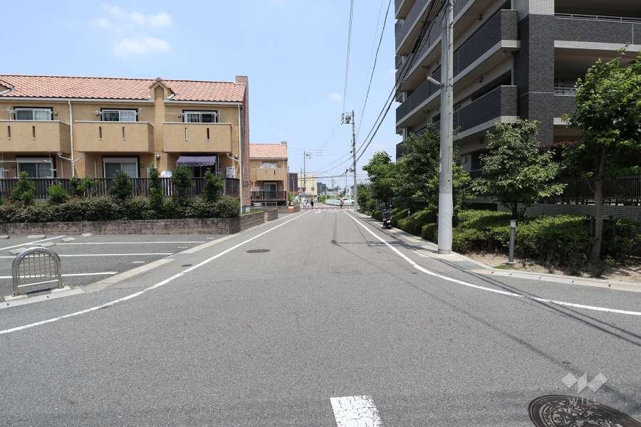 敷地西側の前面道路（南側から）