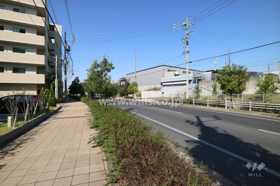 敷地北東側の前面道路（南東側から）