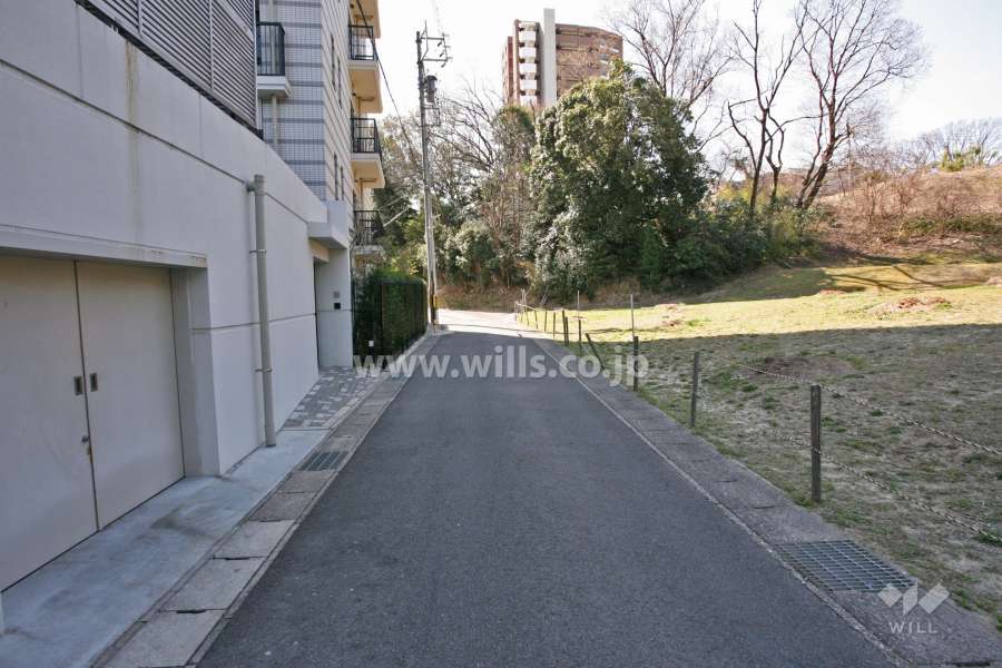 敷地西側の前面道路（北側から）