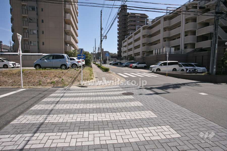 敷地北側の前面道路(西側から)