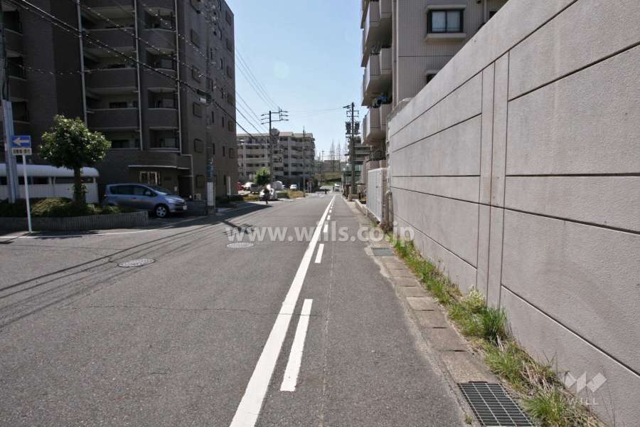 敷地西側の前面道路(北側から)